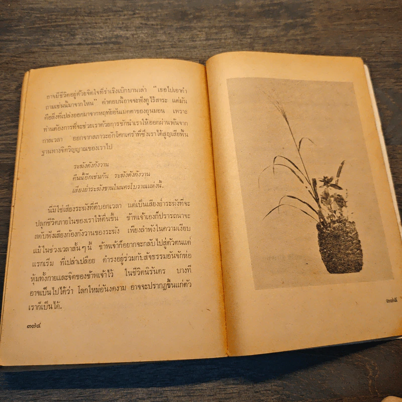 ดอกไม้ไม่จำนรรจ์ - เซนไค ชิบายามะ, พจนา จันทรสันติ รูปที่ 8