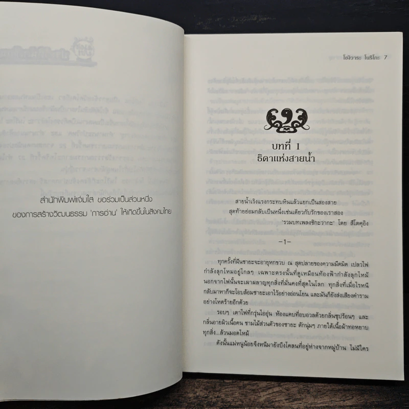 ตำนานบุตรแห่งวายุ - โองิวาระ โนริโกะ, แมวขนฟู รูปที่ 7