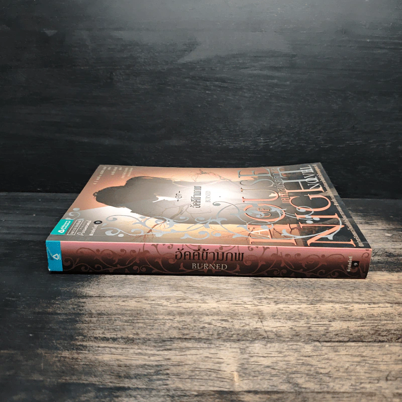 House of Night เคหาสน์รัตติกาล 7 อัคคีข้ามภพ - พี.ซี. คาสต์, คริสติน คาสต์ รูปที่ 3