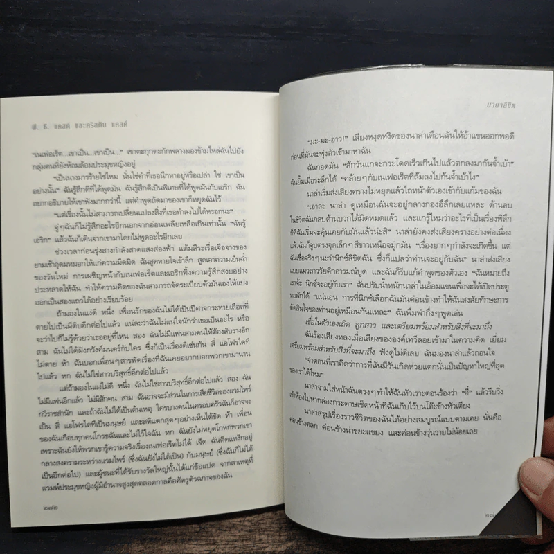 มายาลิขิต - พี.ซี.แคสต์ และ คริสติน  แคสต์ รูปที่ 8