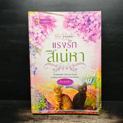 ชุดรักฤาเสน่หา แรงรัก สิเน่หา - ติกาหลัง