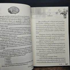 ชุดรักฤาเสน่หา แรงรัก สิเน่หา - ติกาหลัง รูปที่ 7
