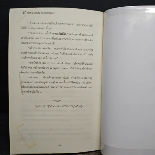 องค์หญิงสุดวุ่นชุลมุนข้ามเวลา - W.K.Jarr รูปที่ 8