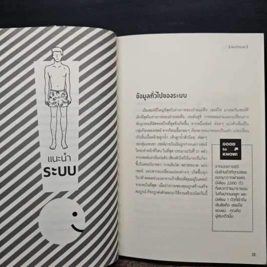 อ่านแล้ว Young - ธิดากานต์ รุจิพัฒนกุล รูปที่ 10