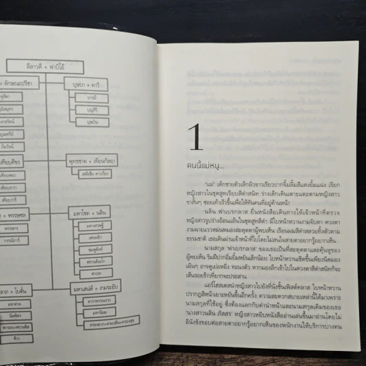 ม่านรักลวงใจ (มหาโชค) - ลักษณะปรีชา รูปที่ 6