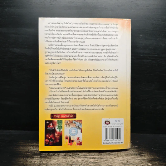 เพลิงรักซ่อนเล่ห์ - รุ้งจันทรา รูปที่ 2