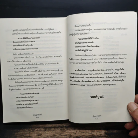 สัญญาจันทร์ - วินา รูปที่ 9