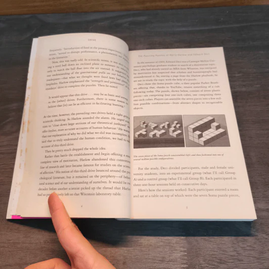 Drive: The Surprising Truth About What Motivates Us - Daniel H. Pink รูปที่ 9