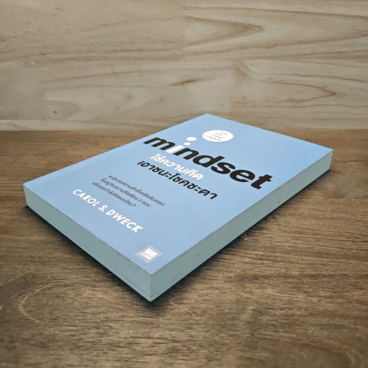 Mindset ใช้ความคิดเอาชนะโชคชะตา - Carol S.Dweck รูปที่ 3