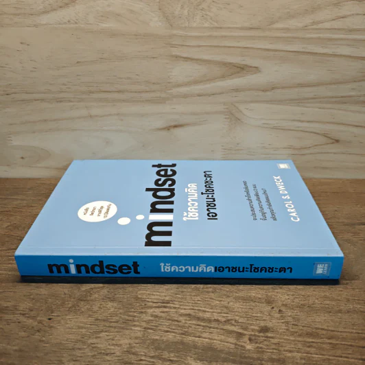 Mindset ใช้ความคิดเอาชนะโชคชะตา - Carol S.Dweck รูปที่ 2
