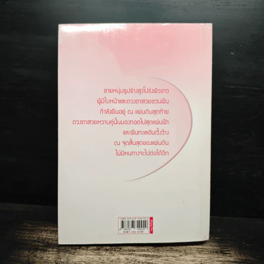 สัญญาใจ ภาคต่อสัญญาจันทร์ - วินา รูปที่ 2