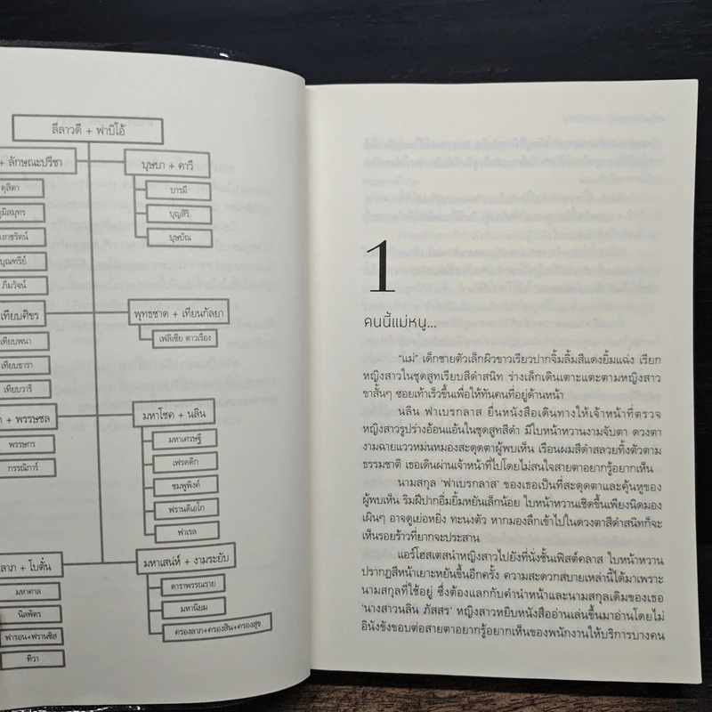 ม่านรักลวงใจ (มหาโชค) - ลักษณะปรีชา รูปที่ 6