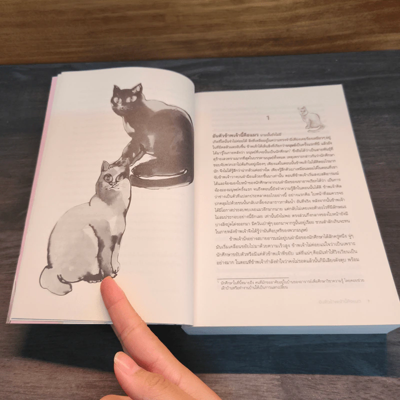 อันตัวข้าพเจ้านี้คือแมว : I Am a Cat - Natsume Soseki (นัตสึเมะ โซเซกิ), ชัญพัส วรศักดิ์ รูปที่ 7