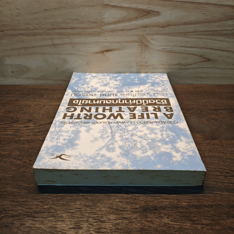 ชีวิตนี้มีค่าทุกลมหายใจ A Life Worth Breathing - ปรมาจารย์โยคะ แมกซ์ สตรอม รูปที่ 4