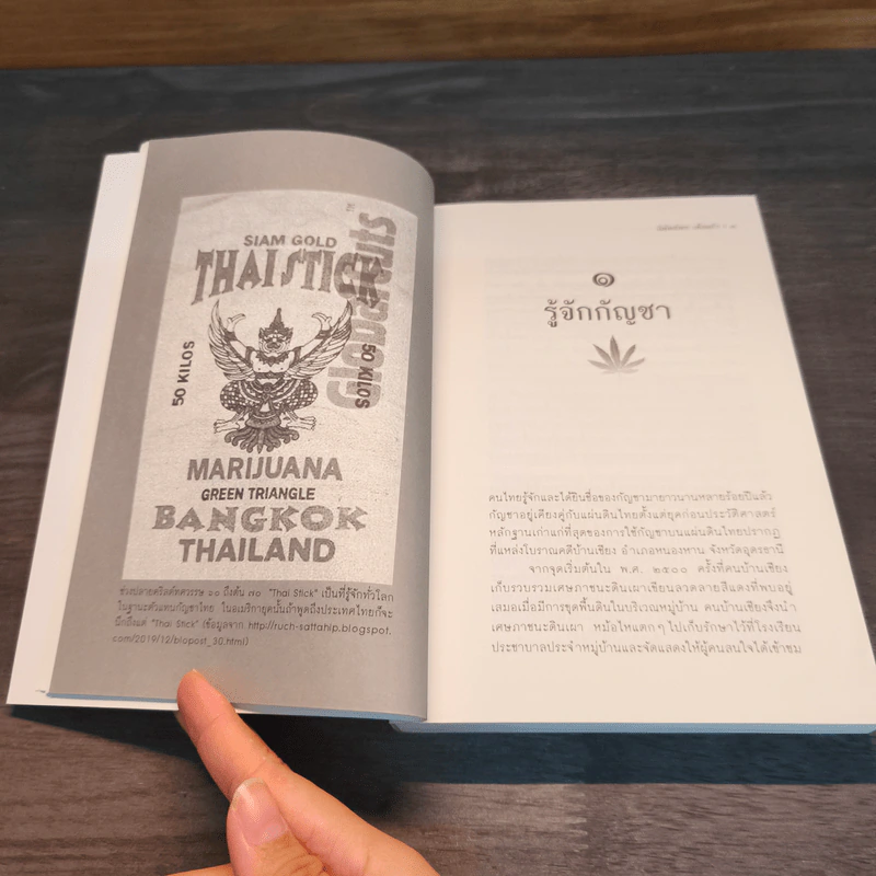 ปฏิวัติกัญชาสยาม 2562 รูปที่ 8
