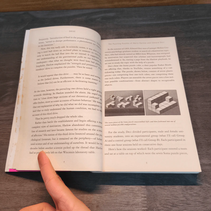 Drive: The Surprising Truth About What Motivates Us - Daniel H. Pink รูปที่ 9