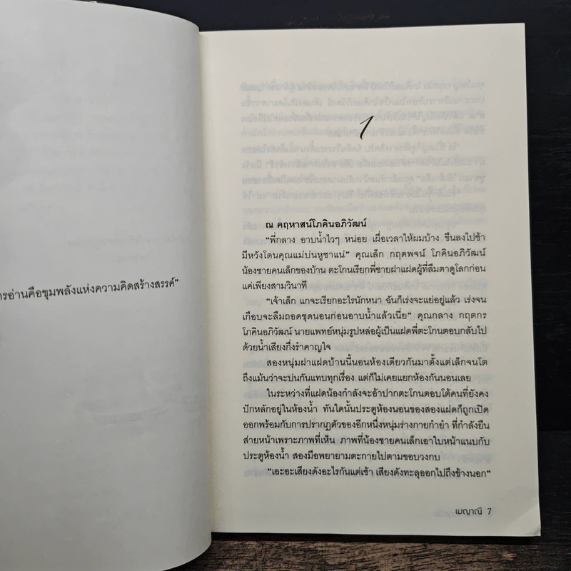 ร้อยรักกฤตนัย - เมญาณี รูปที่ 7