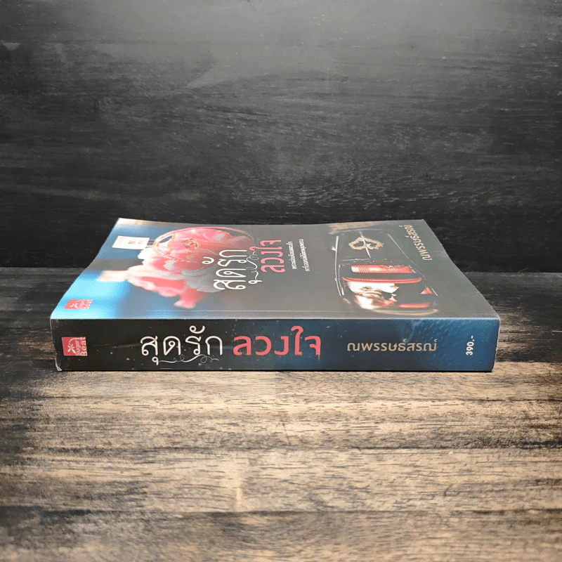สุดรักลวงใจ - ณพรรษธ์สรฌ์ รูปที่ 3
