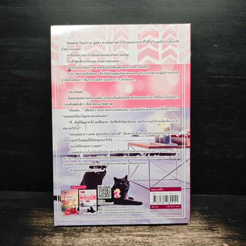 ติณณภพที่รัก ซีรีส์ชุด ปกครองรัก - ติกาหลัง รูปที่ 2