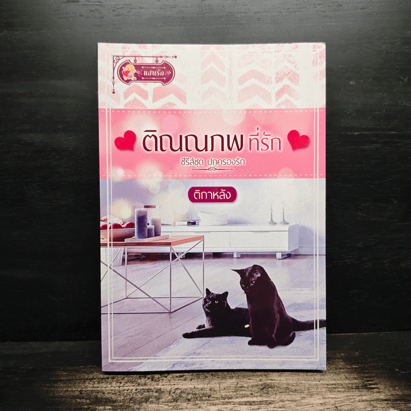 ติณณภพที่รัก ซีรีส์ชุด ปกครองรัก - ติกาหลัง รูปที่ 1