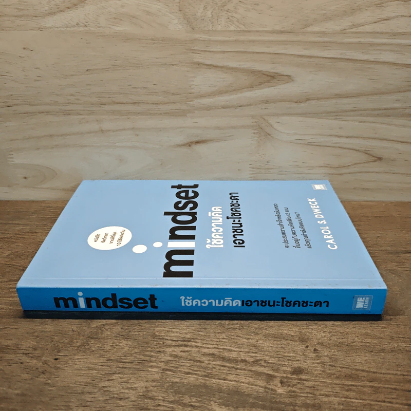 Mindset ใช้ความคิดเอาชนะโชคชะตา - Carol S.Dweck รูปที่ 2