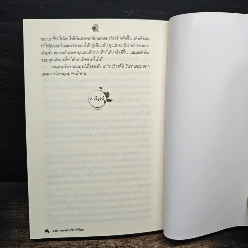 แผนลวงวิวาห์ร้อน - ติกาหลัง รูปที่ 9