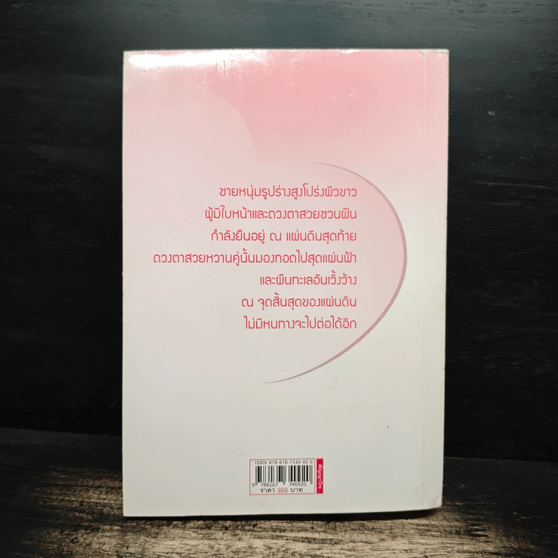 สัญญาใจ ภาคต่อสัญญาจันทร์ - วินา รูปที่ 2