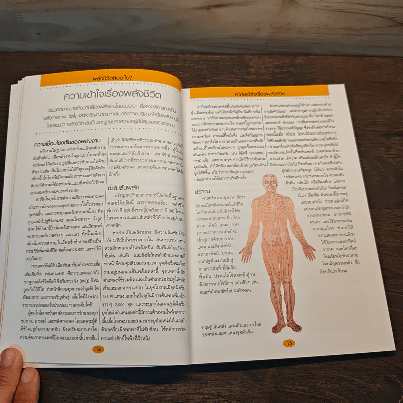 คู่มือดูแลสุขภาพด้วยการเพิ่มพลังชีวิต - Dr. Sarah Brewer รูปที่ 9