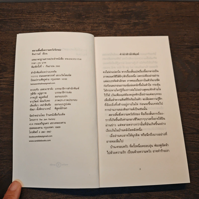 สลายสิ้นซึ่งความหวังรังรอง - ตินกานต์ รูปที่ 6
