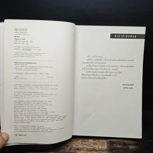 ผิดแผน Degree of Guilt - ริชาร์ด นอร์ท แพทเทอร์สัน รูปที่ 6