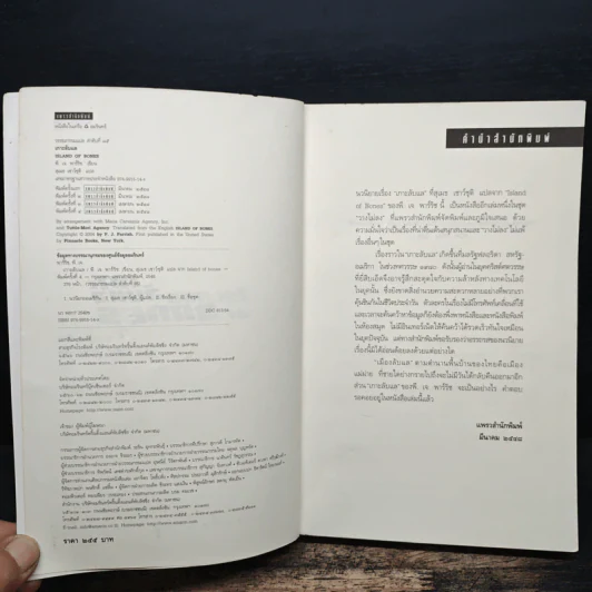 เกาะลับแล Island Bones - พี.เจ.พาร์ริช รูปที่ 6