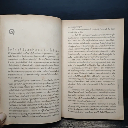 ใครฆ่า The Sculptress - มินเนตต์ วอลเตอร์ส รูปที่ 8