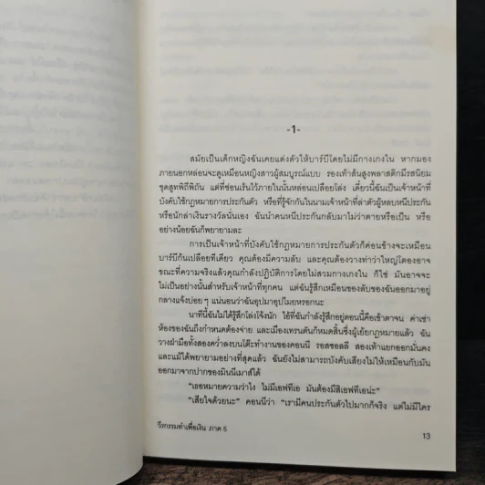 วีรกรรมทำเพื่อเงิน ภาค 5 - เจเน็ท อีวาโนวิช รูปที่ 7