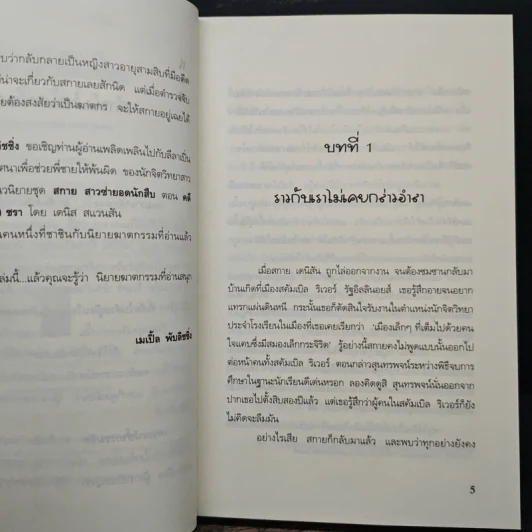 สกาย สาวซ่ายอดนักสืบ คดีฆาตกรรมหญิง(สาว)ชรา - เดนิส สแวนสัน รูปที่ 8