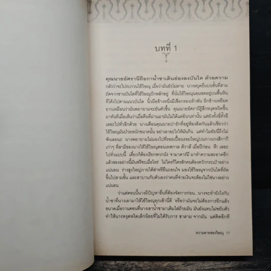 ความตายของวิษณุ The Death of Vishnu - Manil Suri รูปที่ 7