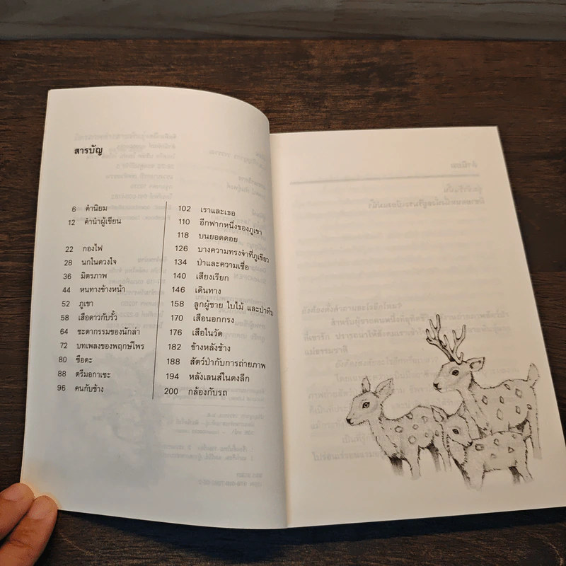 มิตรภาพต่างสายพันธุ์ - ม.ล.ปริญญากร วรวรรณ รูปที่ 7