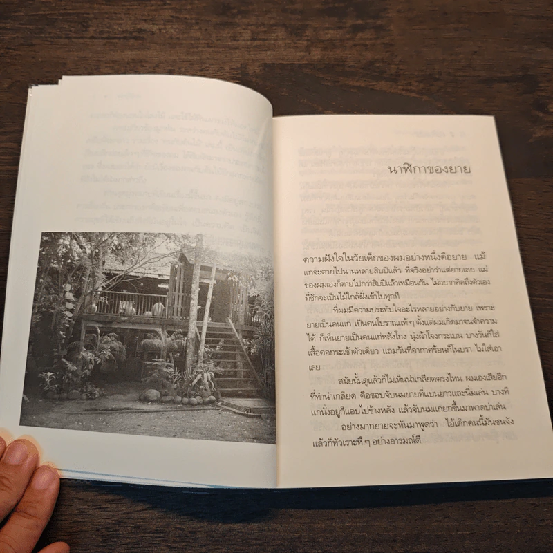 คนกับต้นไม้ - วัธนา บุญยัง รูปที่ 7
