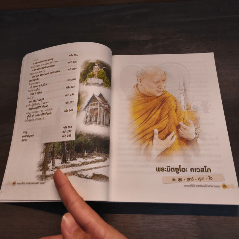 ธรรมะตั้งไข่ สำหรับมือใหม่หัด 'ธรรม' รูปที่ 12