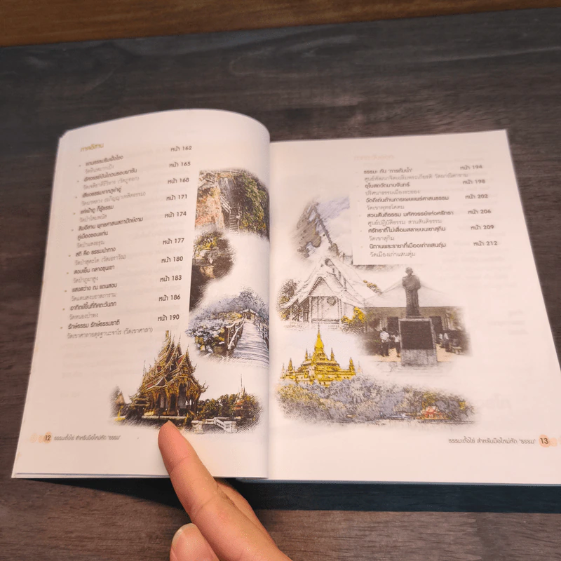 ธรรมะตั้งไข่ สำหรับมือใหม่หัด 'ธรรม' รูปที่ 11