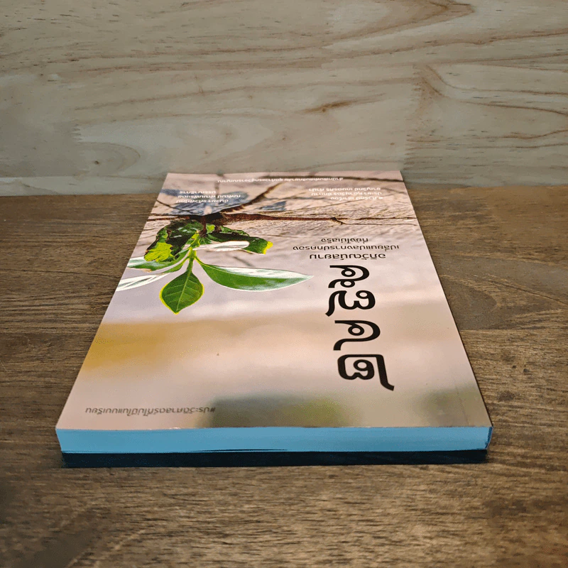 2475 อภิวัฒน์สยาม เปลี่ยนแปลงการปกครองที่ยังไม่เสร็จ - ส.ศิวรักษ์ รูปที่ 4