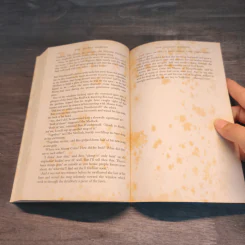 The Secret Garden - Frances Hodgson Burnett รูปที่ 9