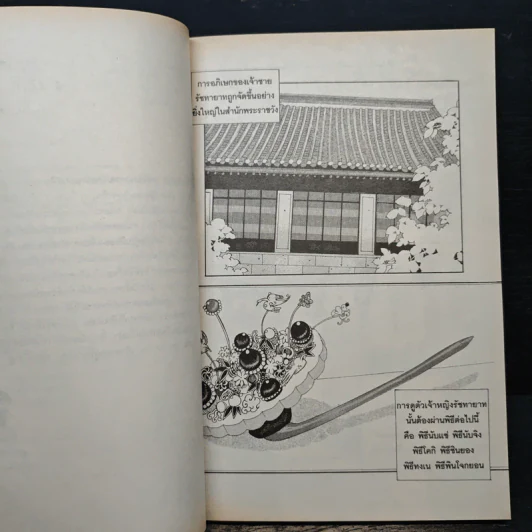 การ์ตูน เจ้าหญิงจอมจุ้นกับรักวุ่นๆในวัง 2 รูปที่ 7