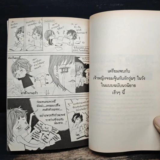 การ์ตูน เจ้าหญิงจอมจุ้นกับรักวุ่นๆในวัง 3 รูปที่ 8