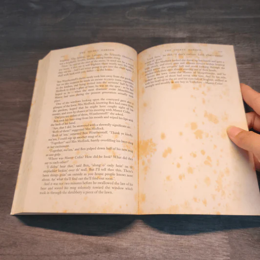 The Secret Garden - Frances Hodgson Burnett รูปที่ 9