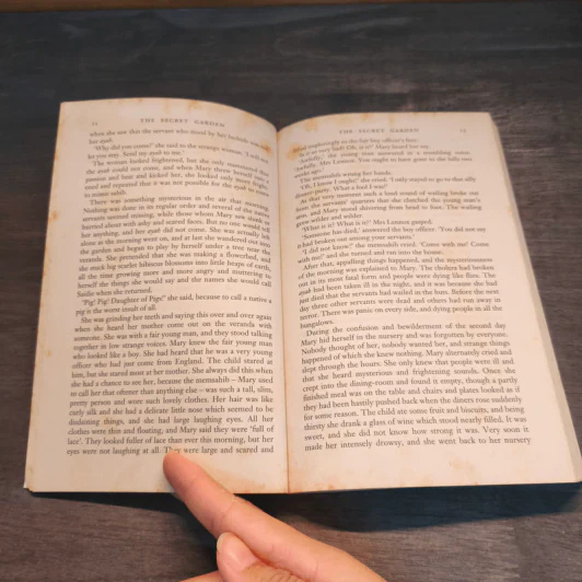The Secret Garden - Frances Hodgson Burnett รูปที่ 8