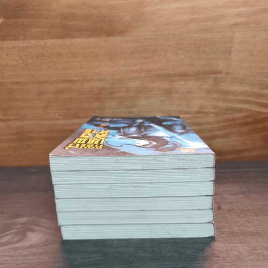 จอมกระบี่เทพสังหาร เล่ม 1-6 - โชอู รูปที่ 6