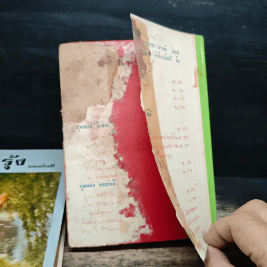 สายรุ้ง 2 เล่มจบ - ทมยันตี รูปที่ 9