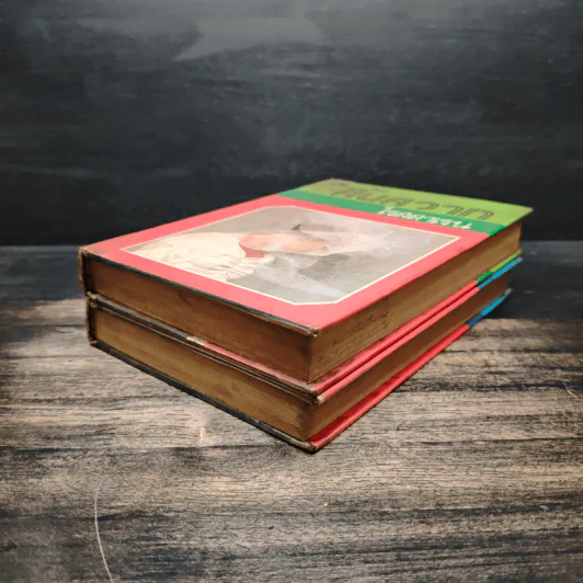 สิ้นสวาท 2 เล่มจบ - โรสลาเรน รูปที่ 4
