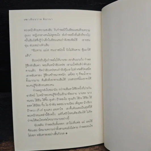 ช่างสำราญ - เดือนวาด พิมวนา รูปที่ 9