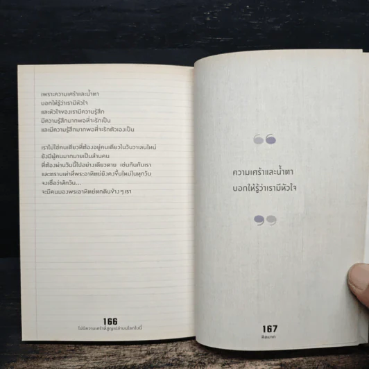 ไม่มีความเศร้าที่สูญเปล่าบนโลกใบนี้ - คิดมาก รูปที่ 9